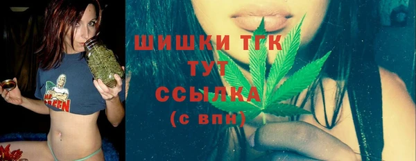 PSILOCYBIN Алзамай