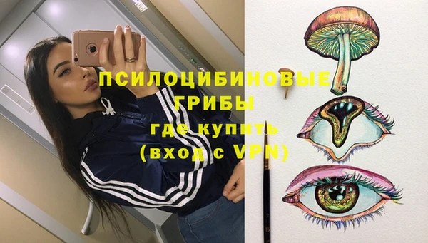 PSILOCYBIN Алзамай