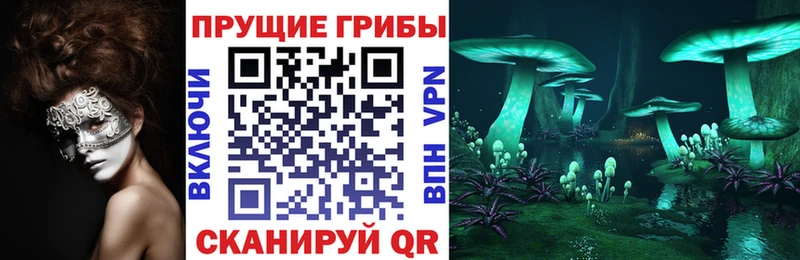 ссылка на мегу вход  Андреаполь  Галлюциногенные грибы Cubensis 