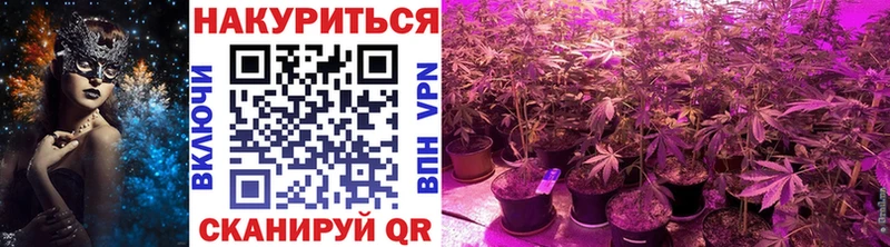 блэк спрут как зайти Андреаполь Шишки марихуана конопля